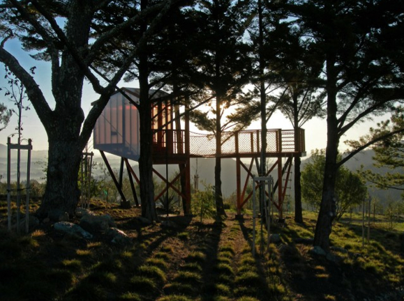 Cary Bernstein's Treehouse