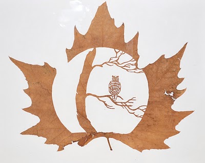 leaf3
