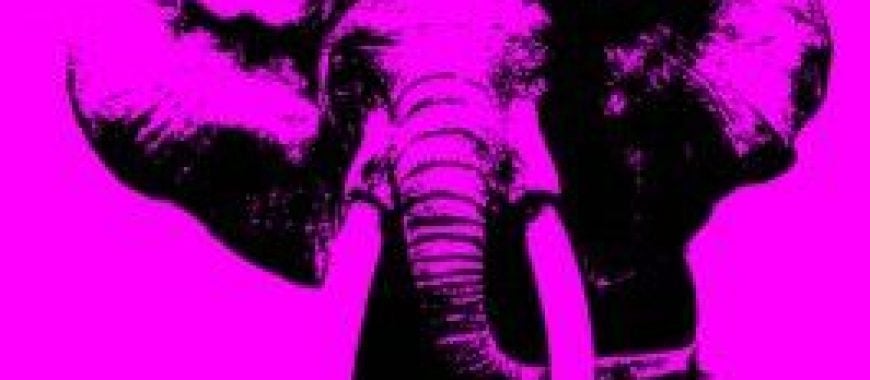Walk on the Wild Side