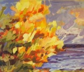 Fall Colors
