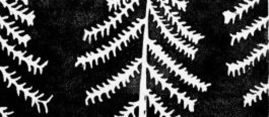 Hand Printed Works